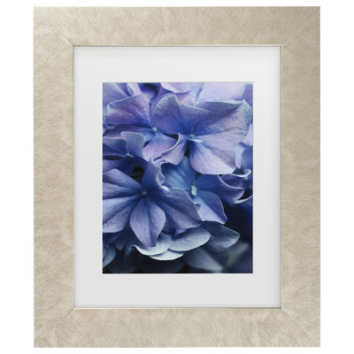 Encadré bolognais, bolognaise, lilas, hortensia, encadré