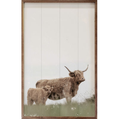 Highland et bébé