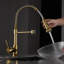 Robinet de cuisine commercial Tempting Gold