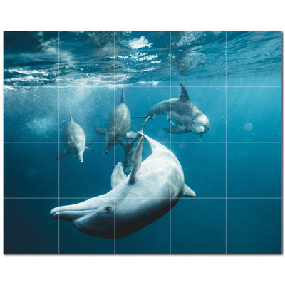 Dolphin Photo 12'' x 12'' Satin Ceramic Decorative Mural