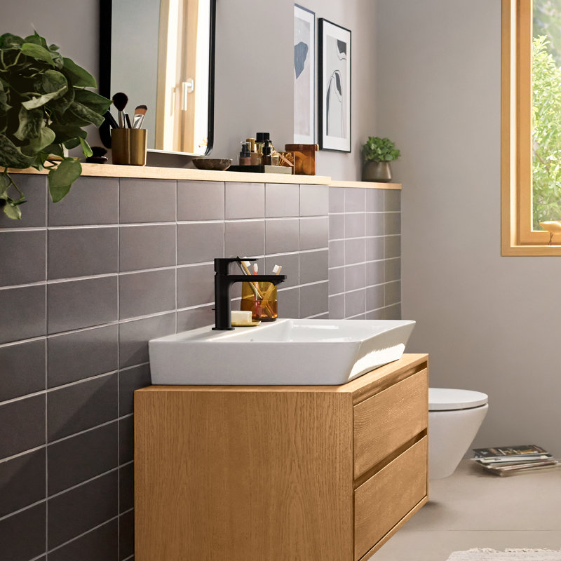 Rebris E Single Hole Bathroom Faucet, Matte Black