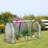 3.95' W x 1.79' D Mini Greenhouse