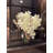 Orchid Arrangement in Vase