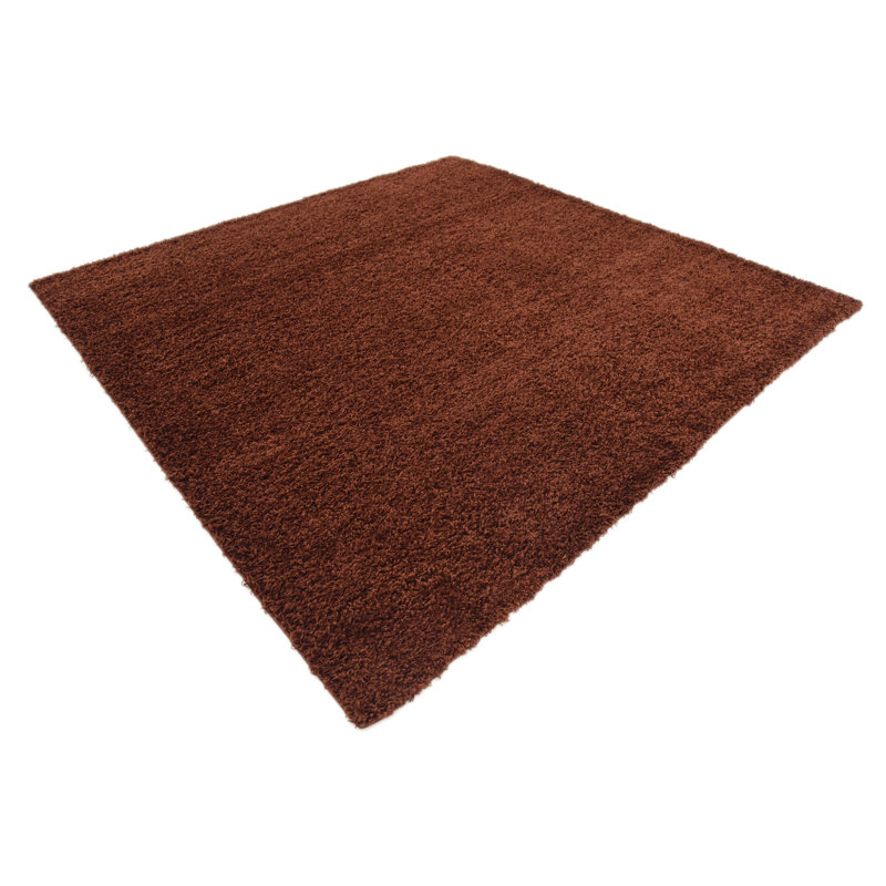 Tapis brun chocolat Caputto, Rectangle 2 pi x 3 pi 1 po