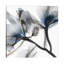 Indigo Luster Cyclamen II by Albert Koetsier - Wrapped Canvas Print-1629907515-1621544469