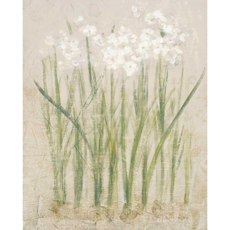 «Red Barrel Studio® Blum, Cheri», reproduction d'art sur toile tendue sous le titre «Narcissus Light», H 44 po x l 36 po