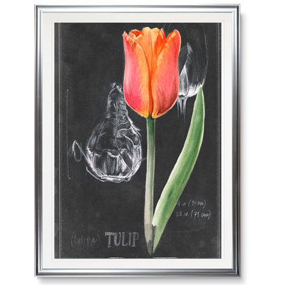 «Chalkboard Flower III», reproduction