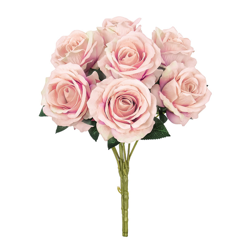 Velours rosier, Rosé