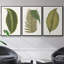 Collection de feuilles I - ensemble de 3 reproductions de photos sur toile-97754137-97754134