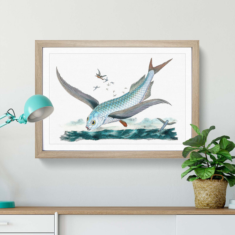 Flying-Fish by Edward Donovan - Framed Print, 36cm H x 48cm W x 2cm D, Oak Framed