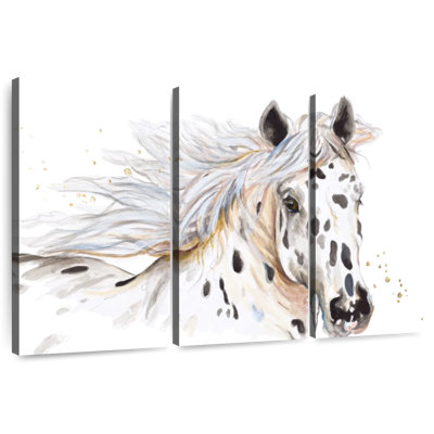 Beauté Appaloosa