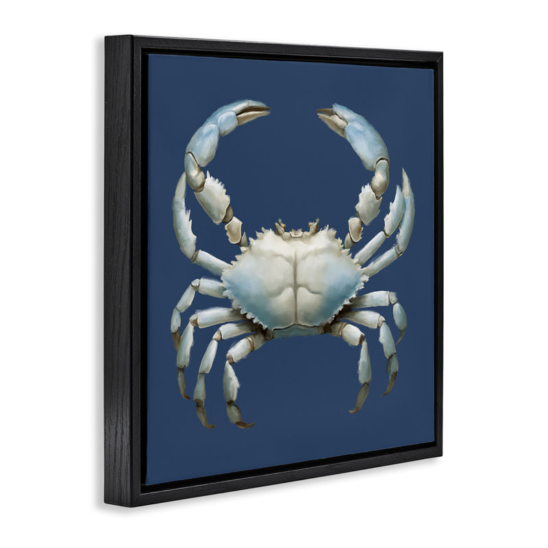 Cadre flottant détaillé crabe bleu aquatique, design par Elizabeth Medley, H 25 po x l 25 po, Cadre flottant noir de jais
