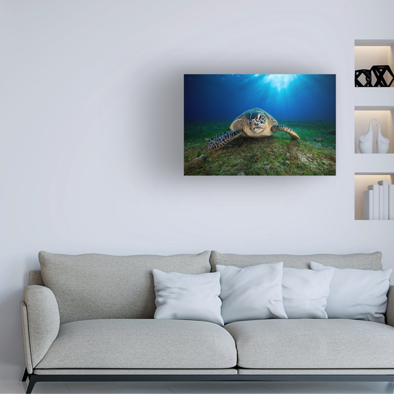 Art sur toile, tortue verte Barathieu, H 12 po x l 19 po
