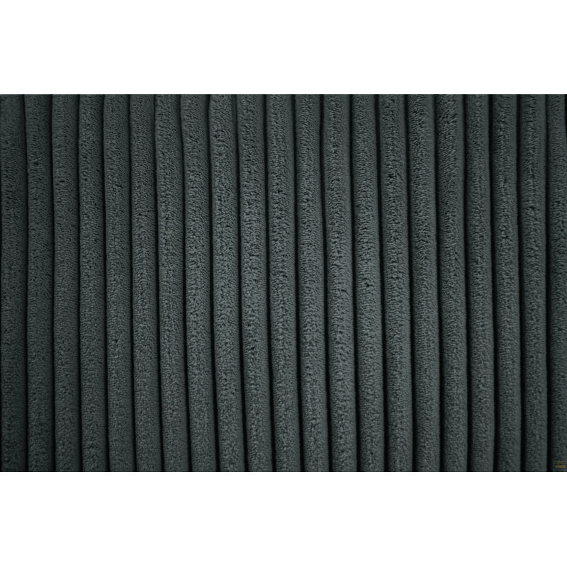 Ensemble de canapé 2 pièces 1X, Gris foncé
