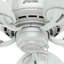 Ventilateur de plafond d'extérieur à 5 pales 54 pouces avec chaînette Bayview-49934371