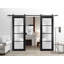Porte de grange double robuste avec verre dépoli Planum 2132, rail noir mat de 4 m (13 pi), porte intérieure moderne à panneaux pleins - 162,5 cm x 203 cm (2 x 81 cm x 203 cm) - Rail noir-110333887-110333888