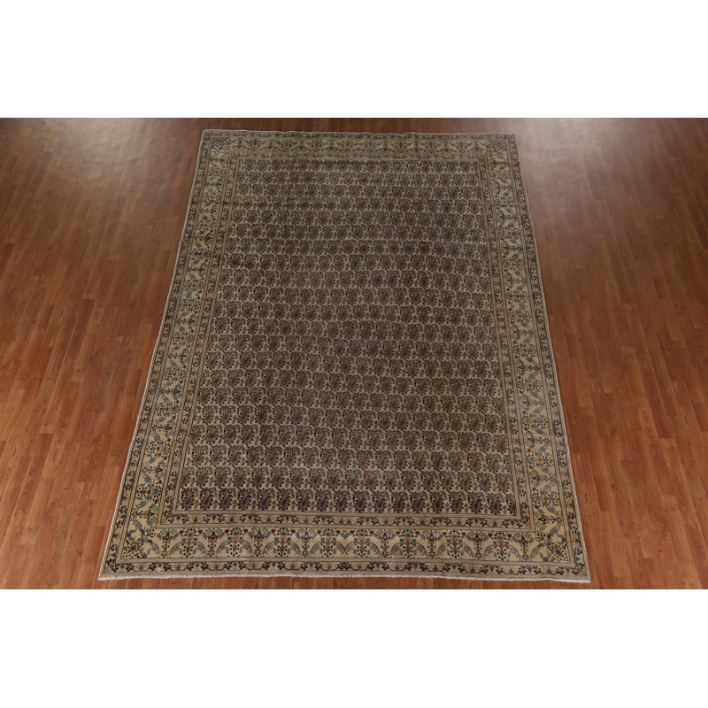 All-Over Paisley   Area Rug 8x12