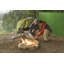 Cloison pliante 3 panneaux l 144 "x H 70"-17306543