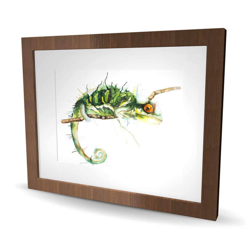 Caméléon à l'affût - Reptile