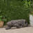 LEOPARD LIGHTWEIGHT CONCRETE BENCH