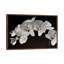 Orchids - Floater Frame Print on Canvas-214817169-214817162