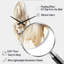 Cruson - Curved Shape Large Floral 3D Wall Clock-1103008049