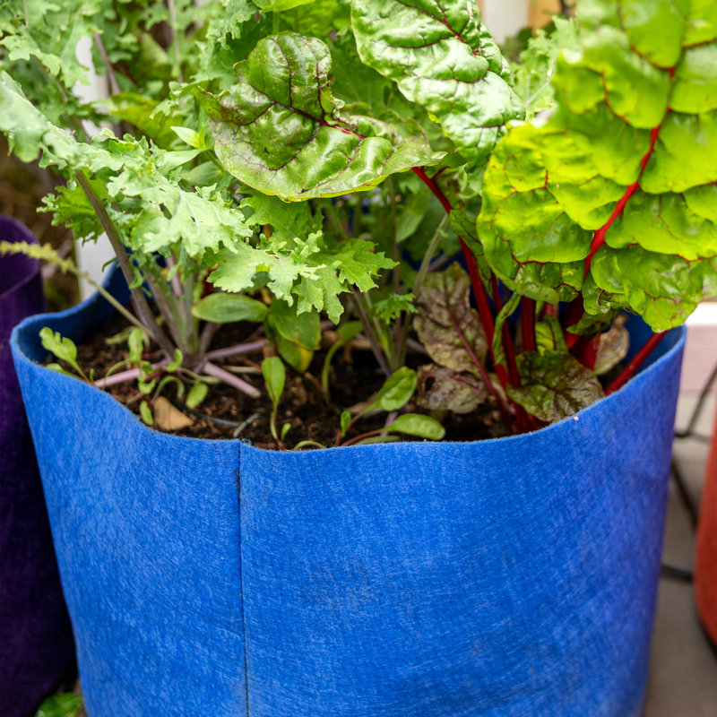 Jardinière en tissu Smart Pot®, 15,5 x 20 x 20, Bleu