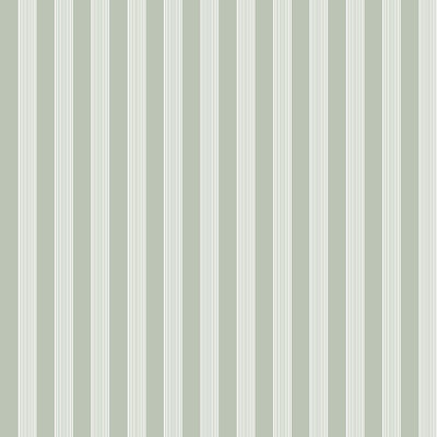 Nerijus Little Explorers 2 Vertical Ribbon Wallpaper Roll