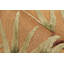 One-of-a-Kind Rectangle 6'1” X 9'1” Area Rug