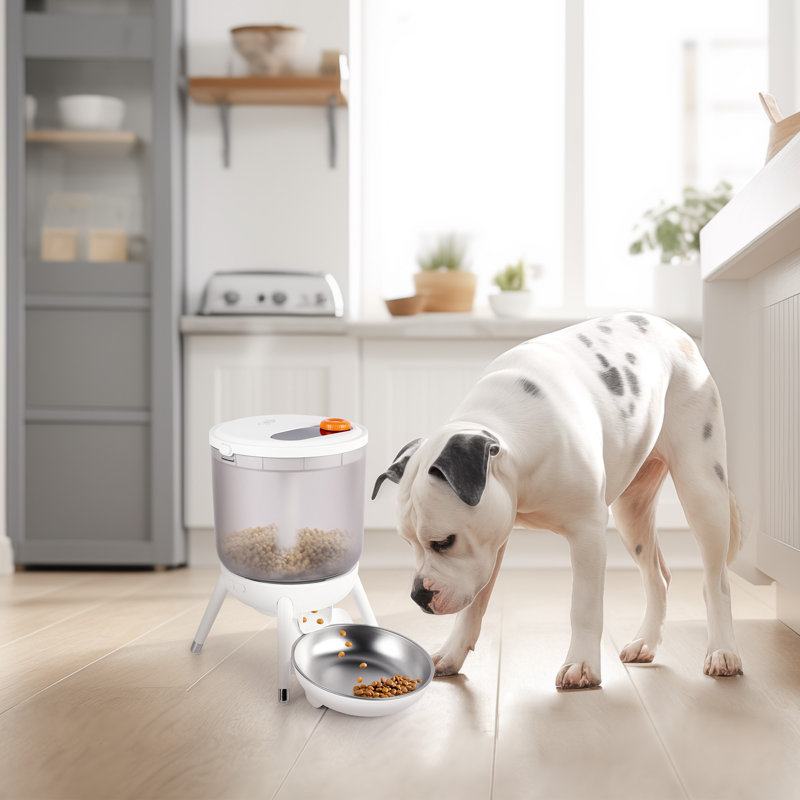 Lifestyle 4 animaux de compagnie-Mangeoire automatique MealMate