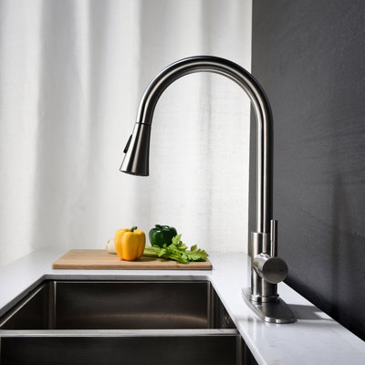 Robinet de cuisine avec douchette extractible