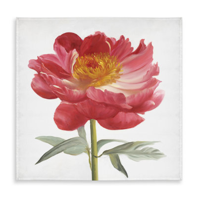 Pink Peony Tablecloth | Floral Botanical Decor for Home