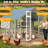 Large Chicken Run Coop, Walk-In Poultry Cage With Waterproof & Anti-UV Cover