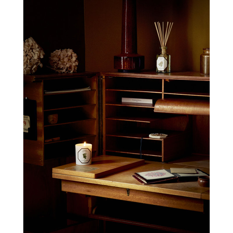 Cedar Candle