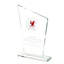 Trou de trophée de golf en verre cristal 5,3 x 8 x 1,4 po Fixturedisplays® en 2 semaines 10248