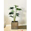 Plante artificielle en pot 17 po Philodendron