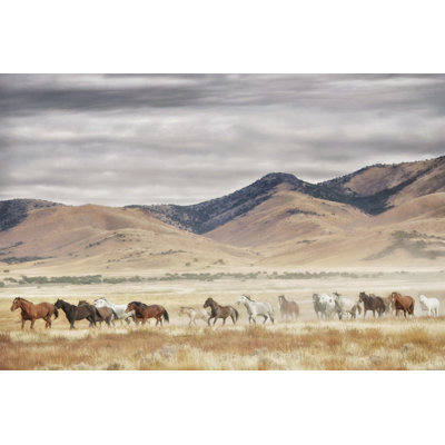 «Horse Run II» par PHBurchett - reproduction d'art sur toile tendue