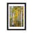 Black Framed Paper is unavailable