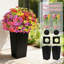 Artificial Flower Violet Multicolour Mix with Black Square Planter Fake Plant – Set of 2