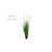 Faux Grass in Planter-73740040-73740041