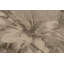 Tapis beige Trombley-2016902437