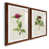 Maple Framed