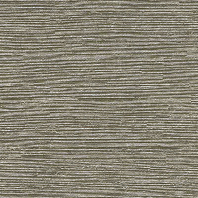 Rouleau de papier peint texturé L 27 pi x 27 po Dinjo