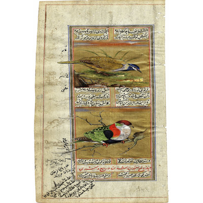 On FAP Bird Pair From India II by Ramesh Sharma - Wrapped Canvas Print