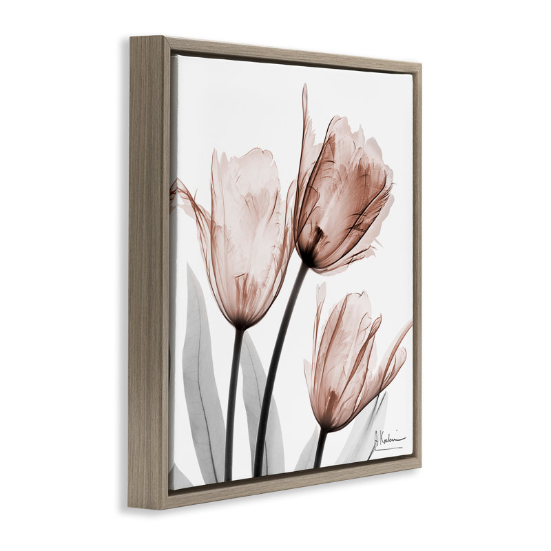 «Simple Transparent Transparent Tulipes», art mural par Albert Koetsier, Cadre flottant orme Montalcino, H 18 po x l 18 po