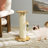 Cat Scratch Toy