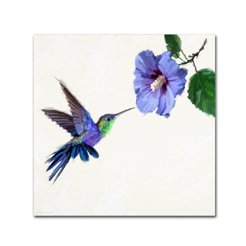 «Humming Bird» par Armand, reproduction sur toile, H 24 po x l 24 po x P 2 po