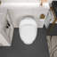 Toilette 1 pièce 1,28 GPF