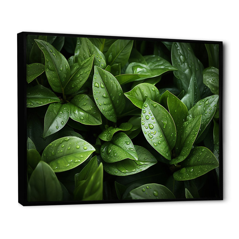 Champ de plantes vertes sur toile, H 24 po x l 32 po, Cadre flottant noir