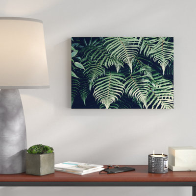 Fern Leafs Photographic - Wrapped Canvas